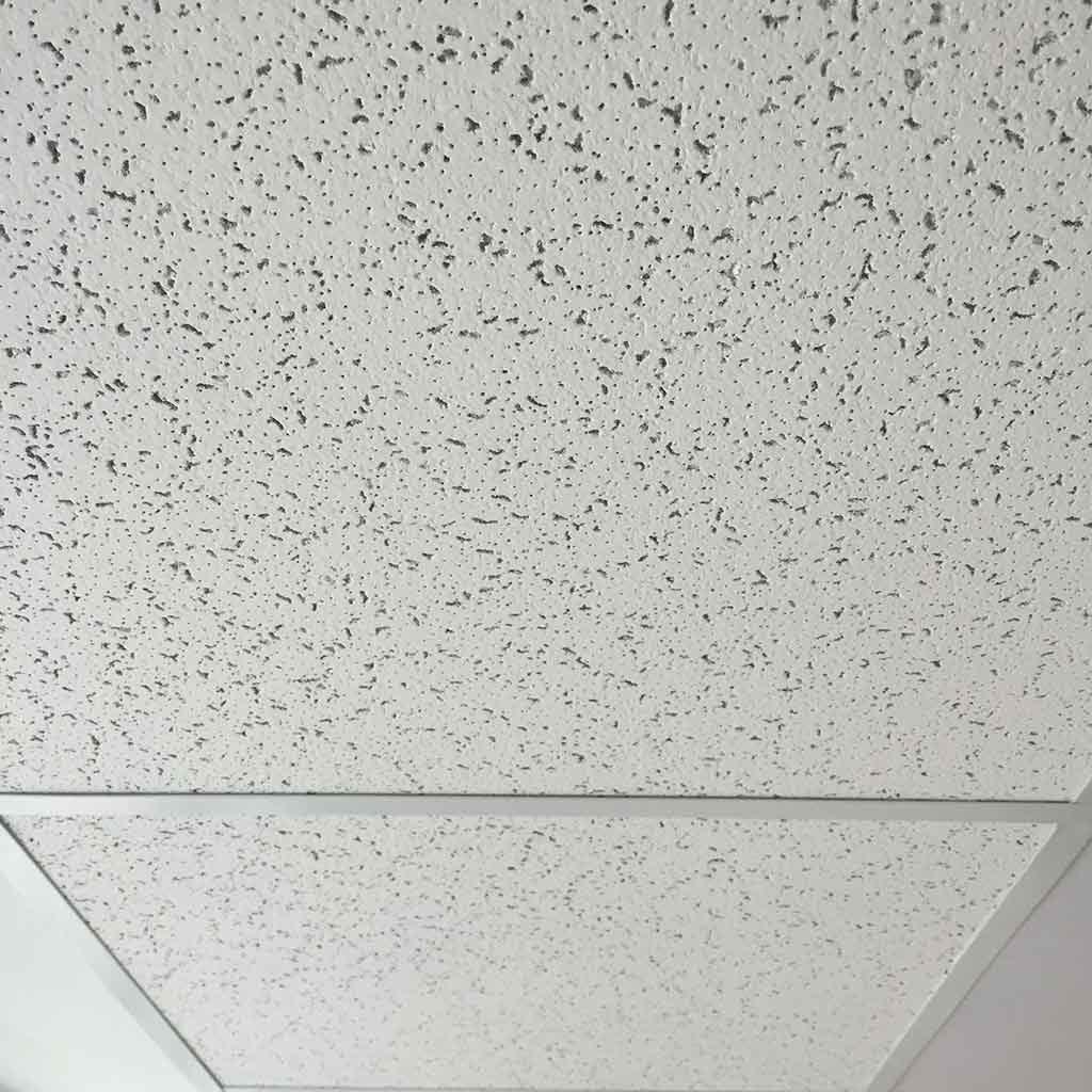 Taşyünü Asma Tavan